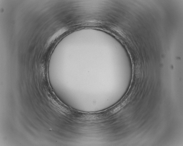 X0000062871402200602031705