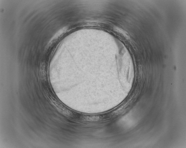 X0000062871403200602031705