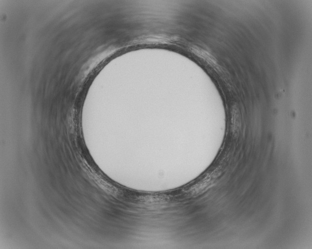 X0000062871404200602031705