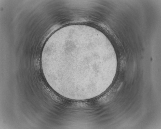 X0000062871409200602031705