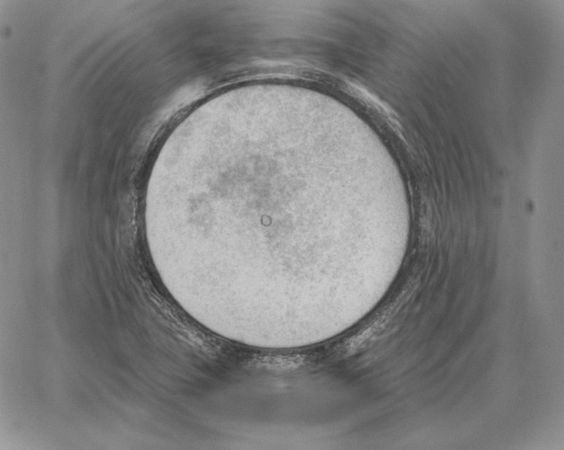 X0000062871411200602031705