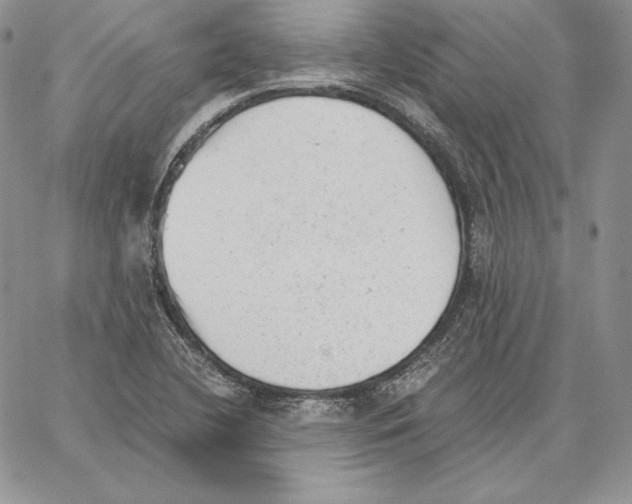 X0000062871412200602031705