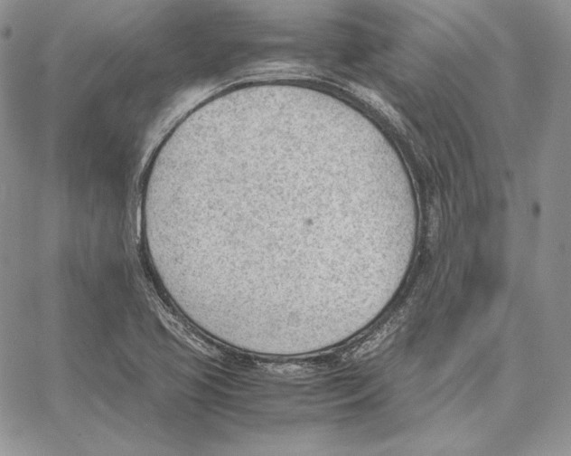 X0000062871413200602031705