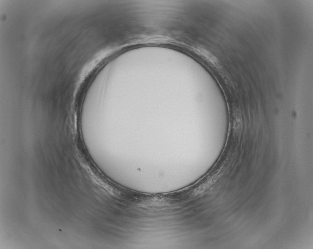 X0000062871414200602031705