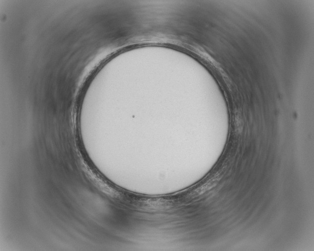 X0000062871416200602031705