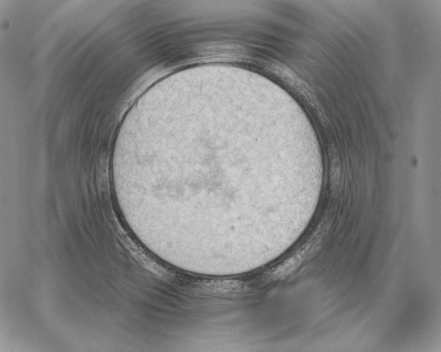 X0000062871417200602031705