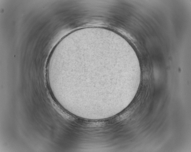 X0000062871423200602031705