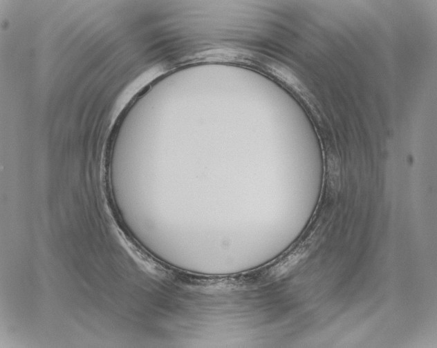 X0000062871426200602031705