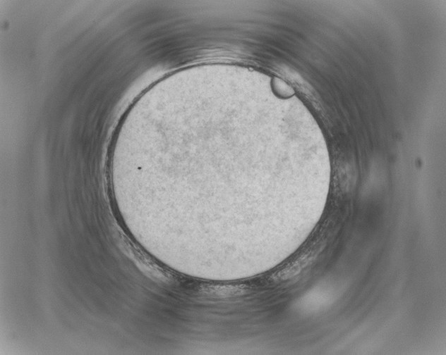 X0000062871427200602031705