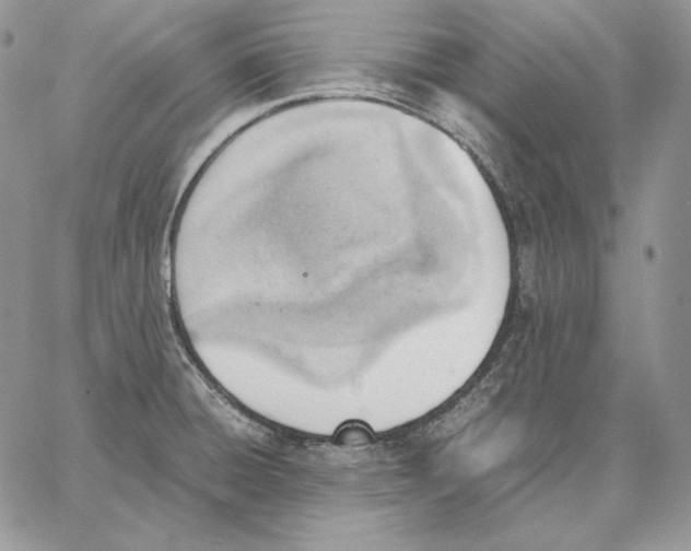 X0000062871428200602031705