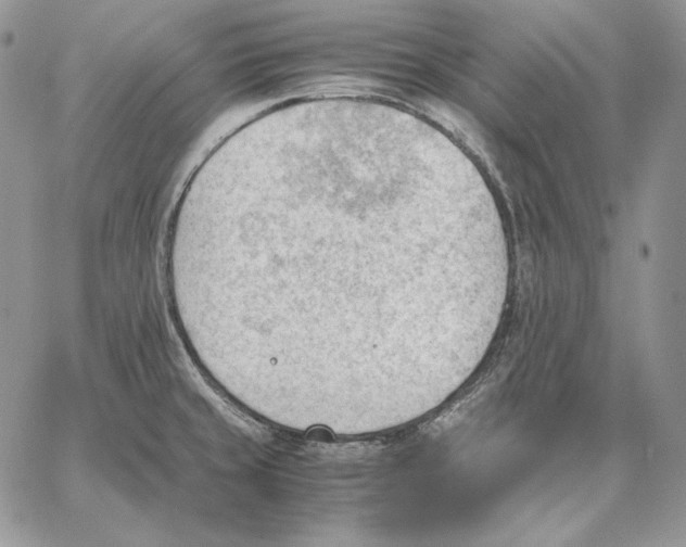 X0000062871429200602031705