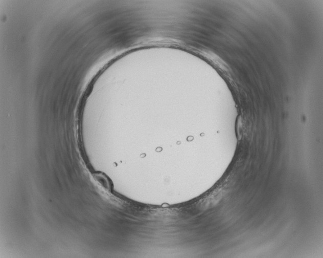 X0000062871430200602031705