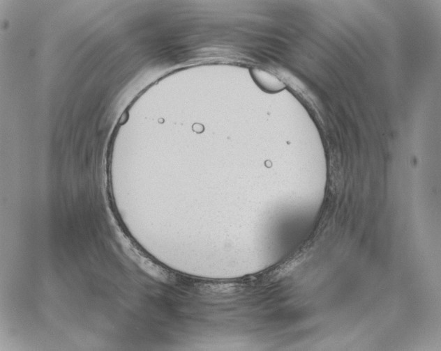 X0000062871431200602031705