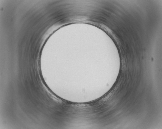 X0000062871432200602031705