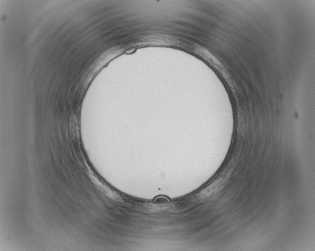 X0000062871433200602031705