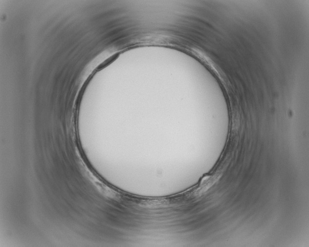 X0000062871434200602031705