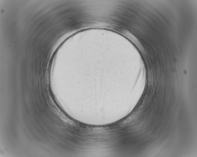 X0000062871436200602031705