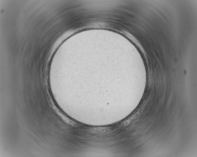 X0000062871437200602031706