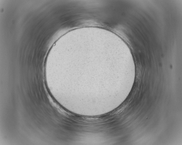 X0000062871439200602031706