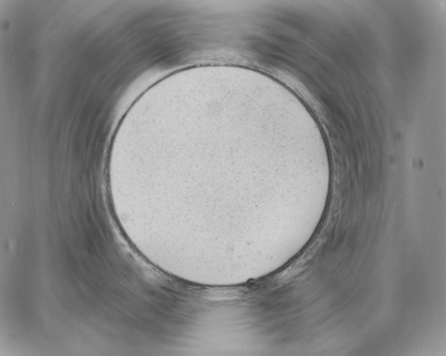 X0000062871440200602031706