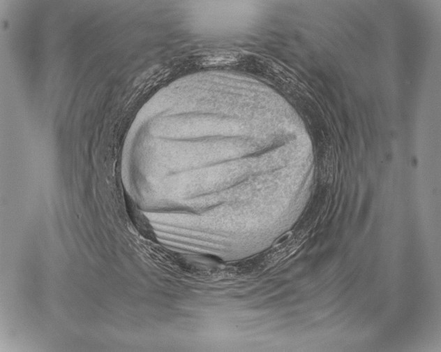 X0000062871441200602031705