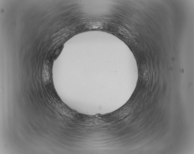 X0000062871442200602031705