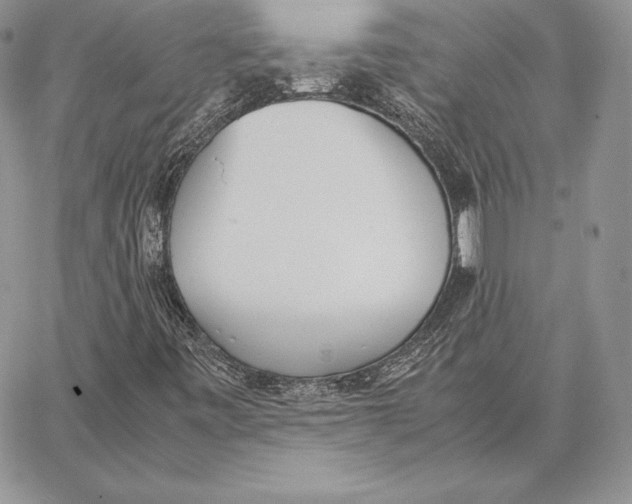 X0000062871443200602031705