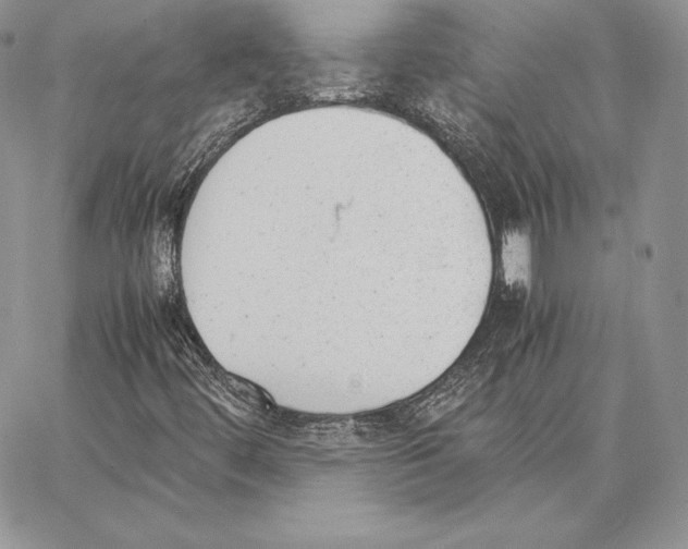 X0000062871444200602031705