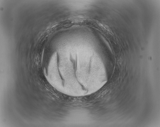 X0000062871445200602031705