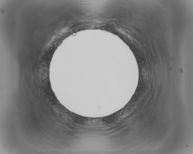 X0000062871447200602031705