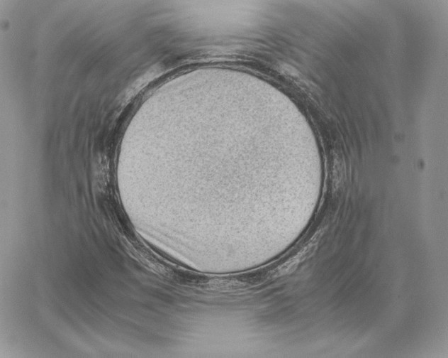 X0000062871449200602031705