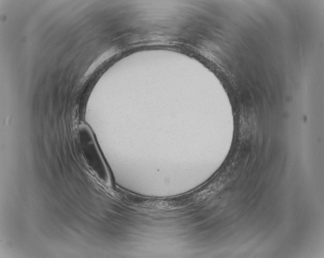 X0000062871450200602031705