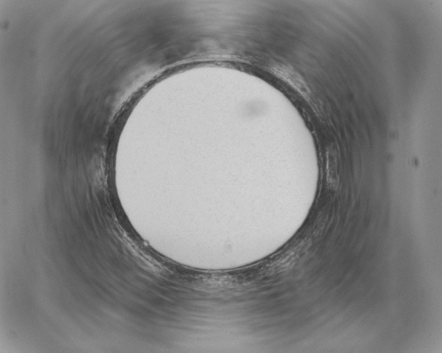 X0000062871452200602031705