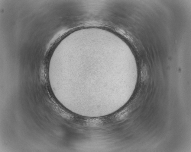 X0000062871454200602031705