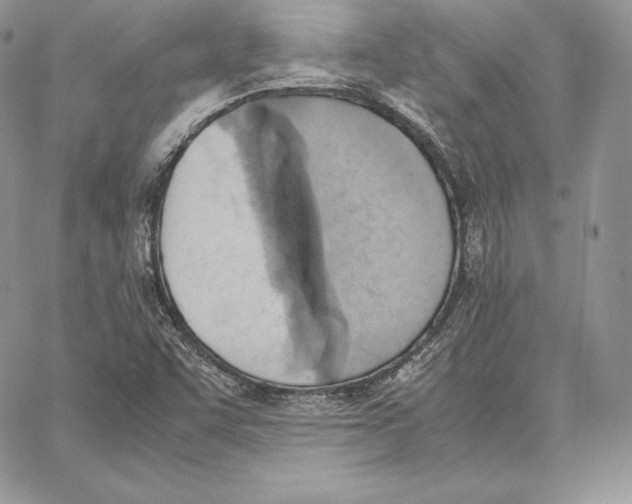 X0000062871455200602031705