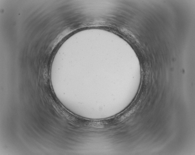 X0000062871457200602031705