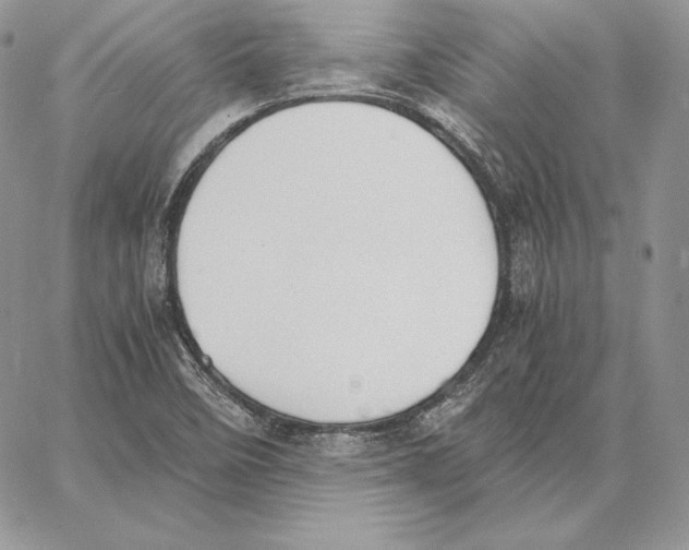 X0000062871458200602031705