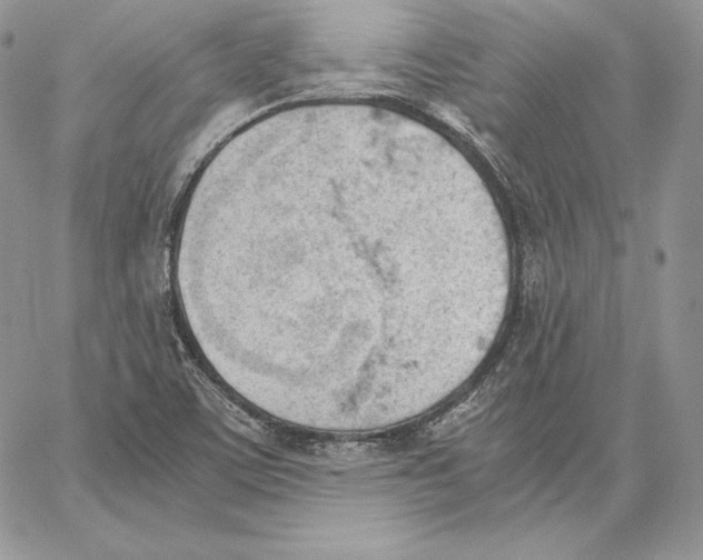 X0000062871459200602031704