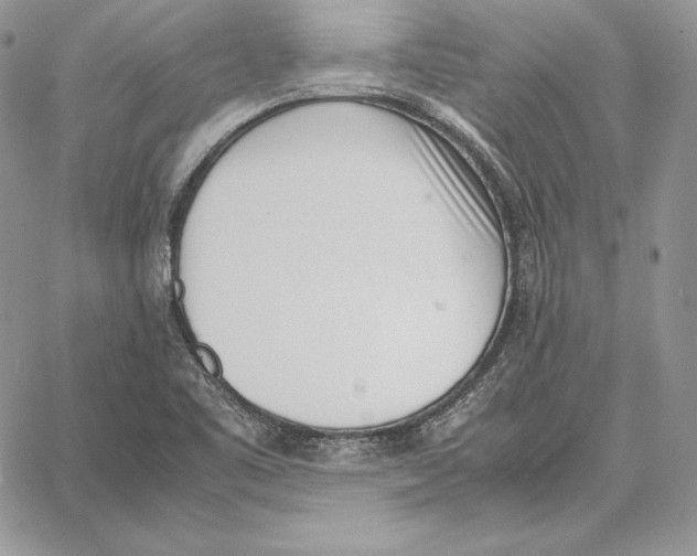 X0000062871461200602031704