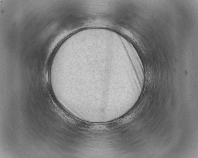 X0000062871462200602031704