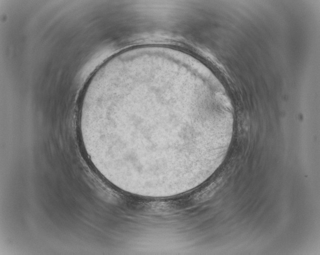 X0000062871463200602031704