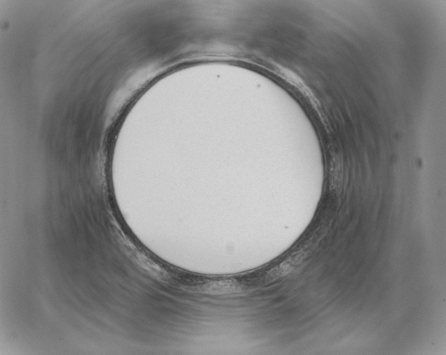 X0000062871464200602031704