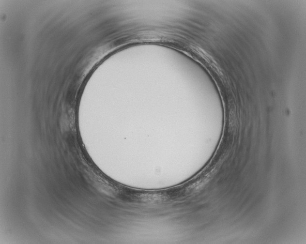 X0000062871465200602031704