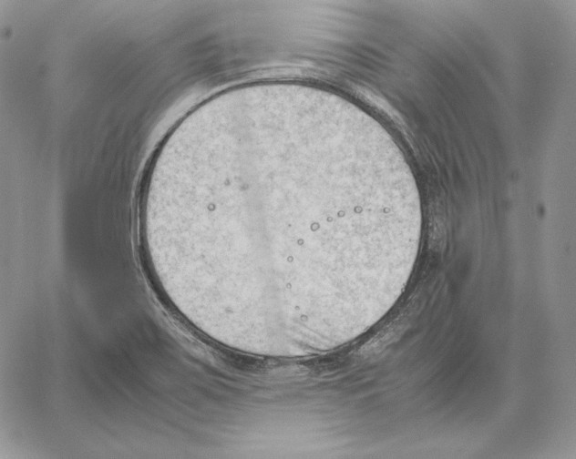 X0000062871467200602031704