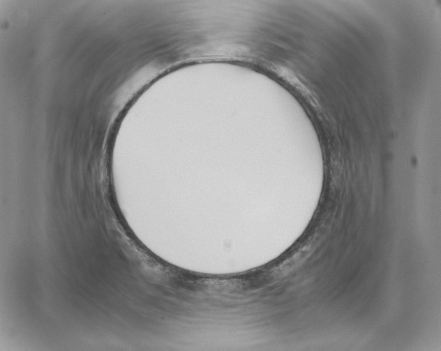 X0000062871469200602031704