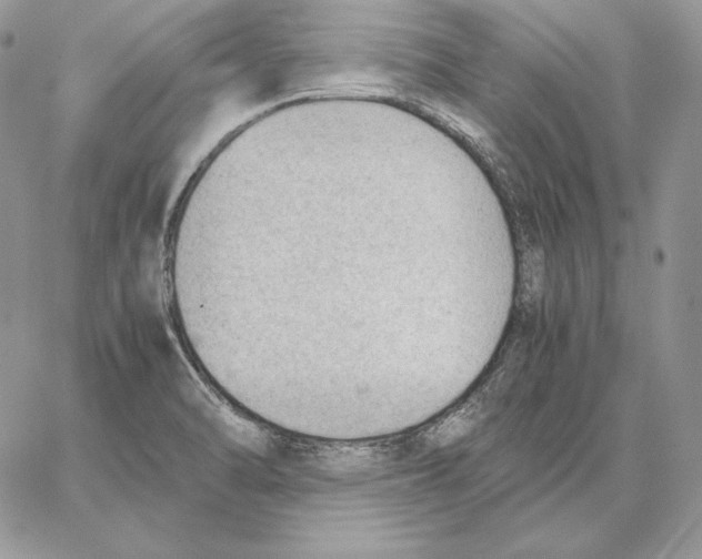 X0000062871470200602031704