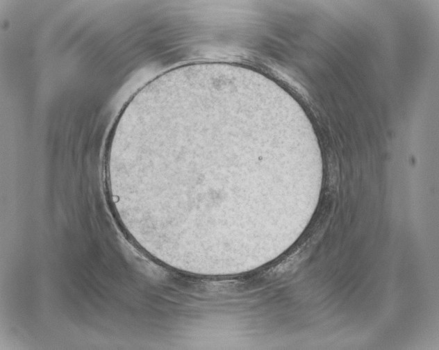 X0000062871471200602031704