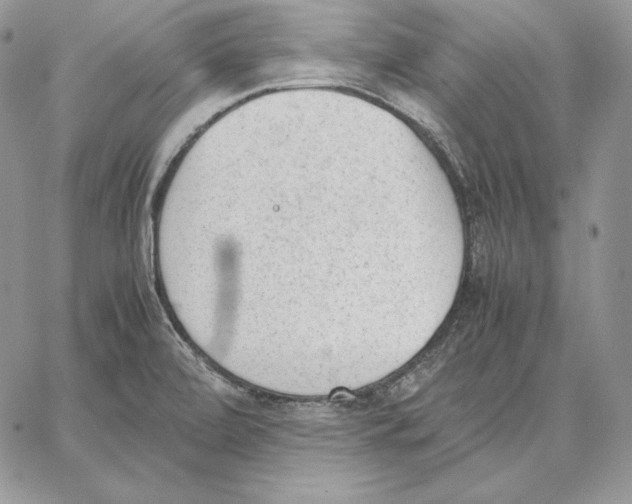 X0000062871472200602031704