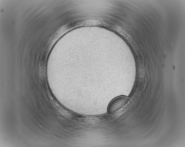 X0000062871473200602031704