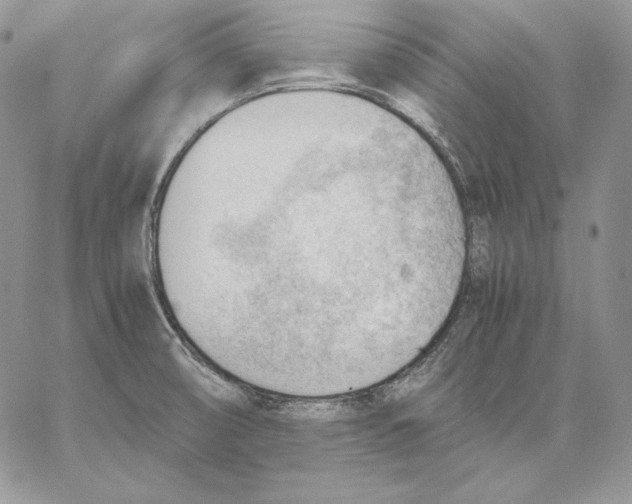 X0000062871474200602031704